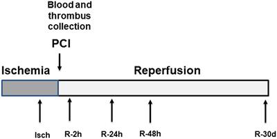 Increase in Plasma Oxidized Phosphatidylcholines (OxPCs) in Patients Presenting With ST-Elevation Myocardial Infarction (STEMI)